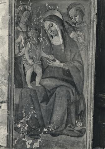 Anonimo — Filotesio Nicola - sec. XVI - Madonna con Bambino, santa Caterina d'Alessandria e san Leonardo — insieme